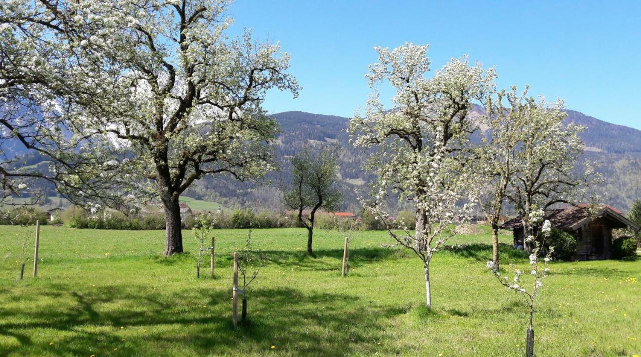 Ferienwohnung Alpenblick Kuchl Exterior foto